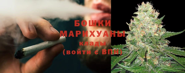 сатива Верхний Тагил