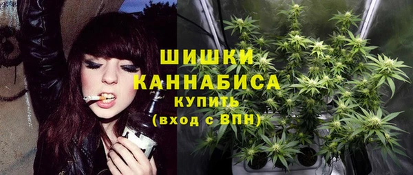 прущие грибы Снежногорск