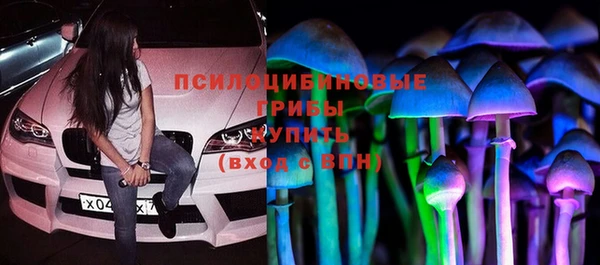 прущие грибы Снежногорск
