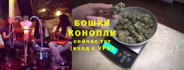 сатива Верхний Тагил