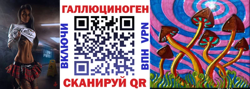 кракен зеркало  Ростов  Галлюциногенные грибы мицелий 
